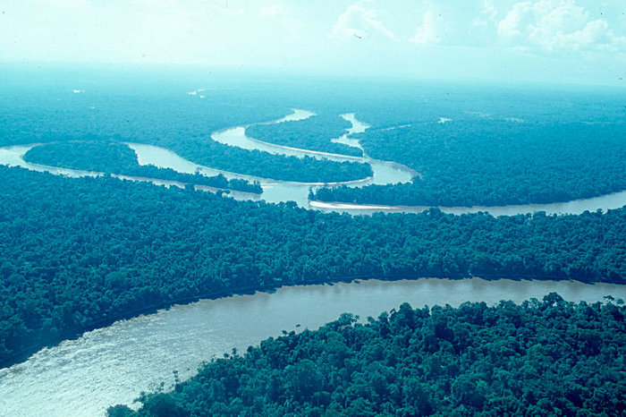 El majestuoso rio Amazonas en territorio peruano, donde nace. !Que bella Naturaleza!