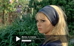 fifa2014 brigitte bardot 3