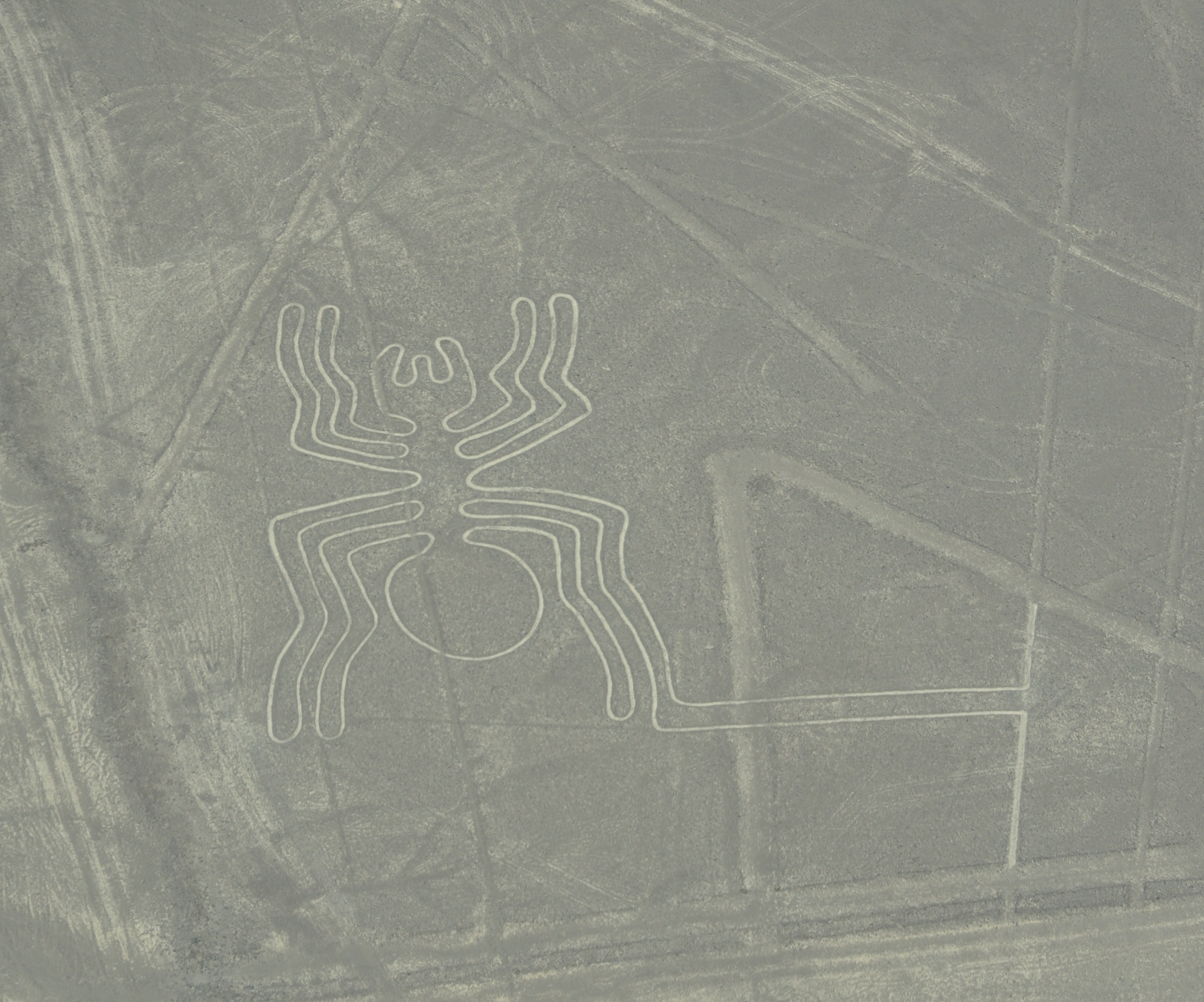 ligne nazca 2018 photo 13