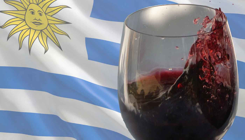 semaine hispanique 2020 art2 vinos uruguay