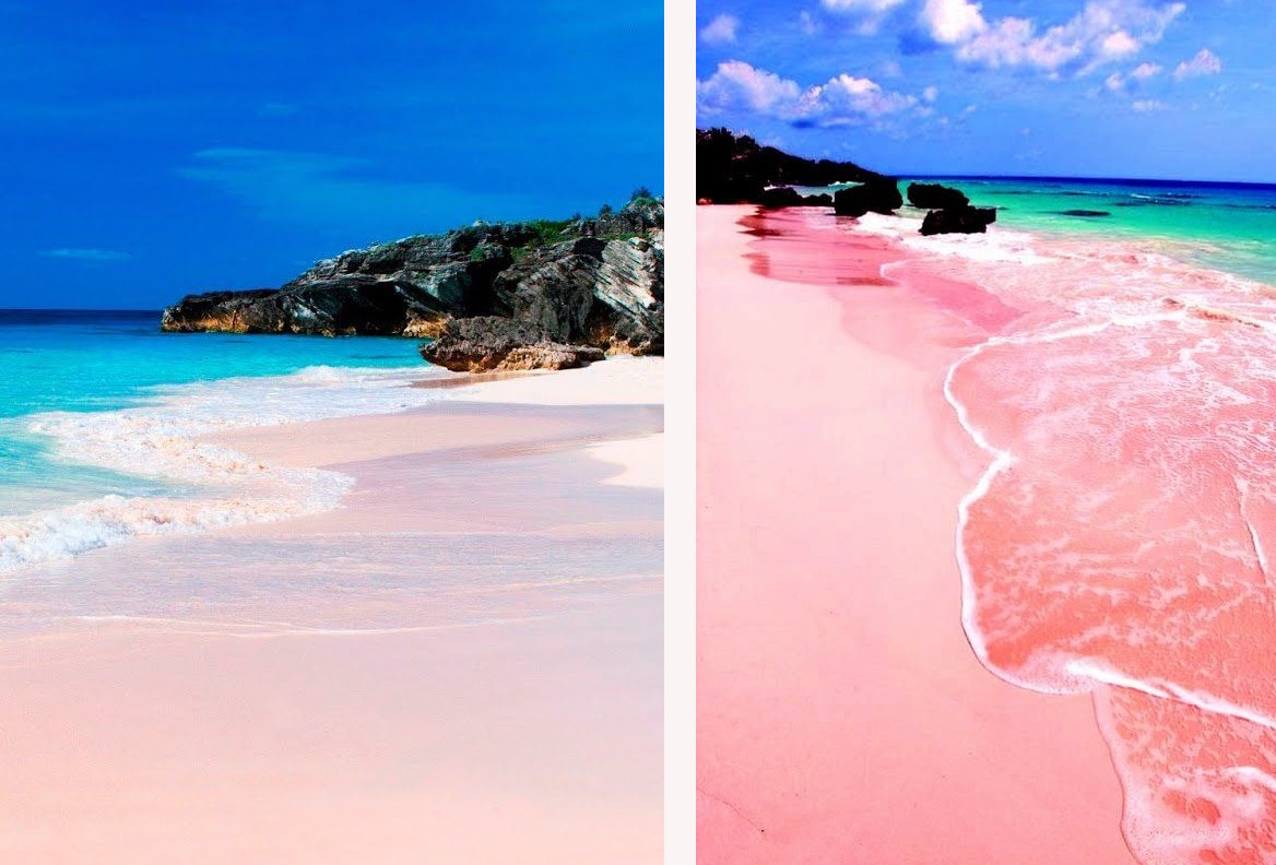  Foto: Orbita Popular