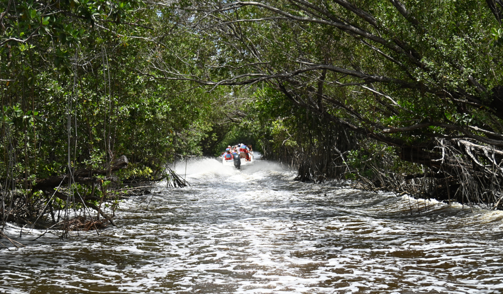 Paseo en Lancha Rápida: explorando los canales de la Laguna La Redonda - Foto: Orbita Popular