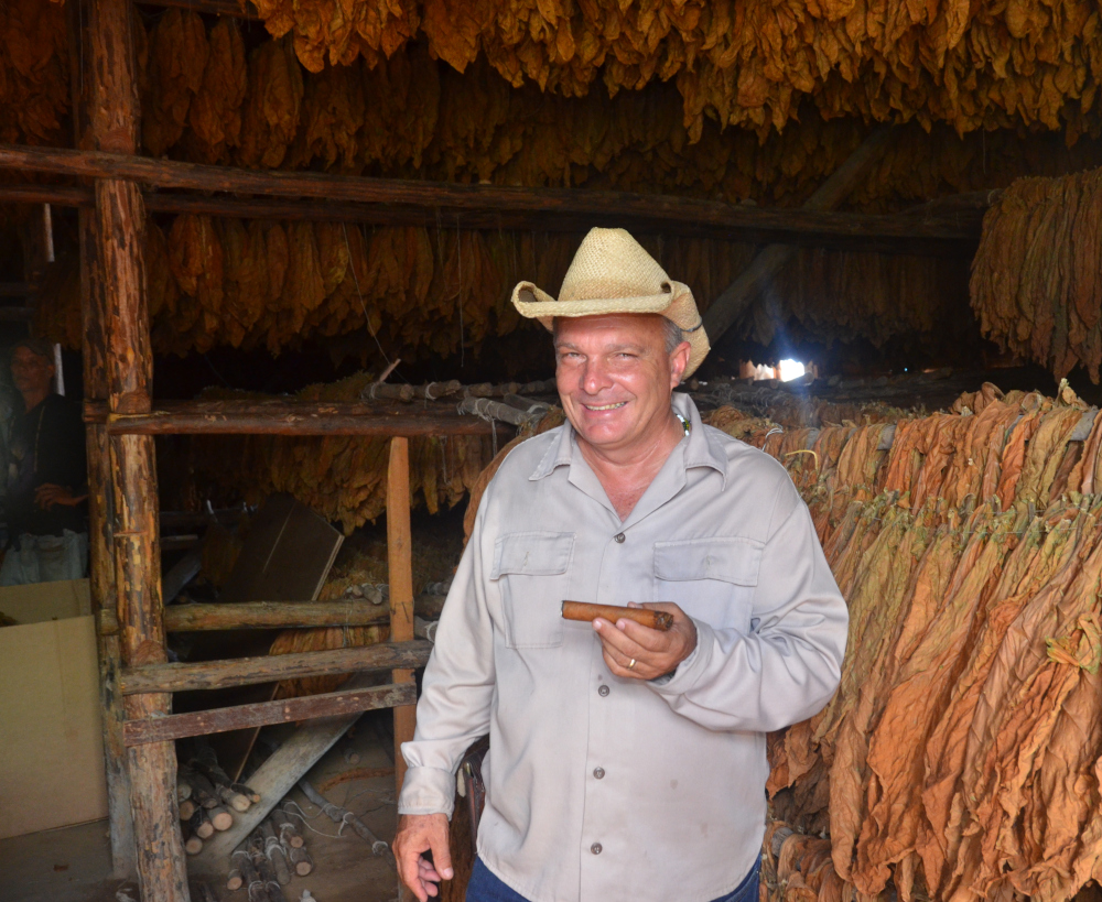 Auténtica finca de cultivo de tabaco - Pinar del Río