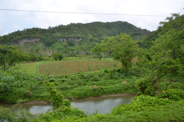 fitcuba 2018 topes collantes photo 2