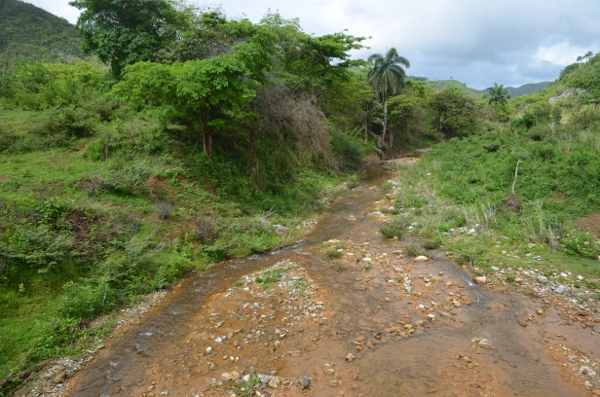 fitcuba 2018 topes collantes photo 3