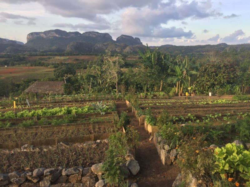 fitcuba 2019 finca agroecologica