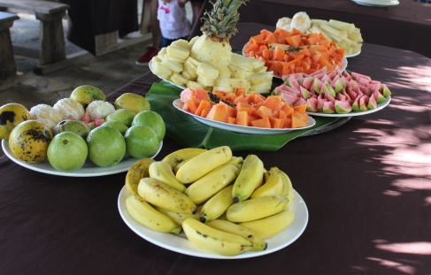 fitcuba 2019 plato frutas photo fincavistahermosa