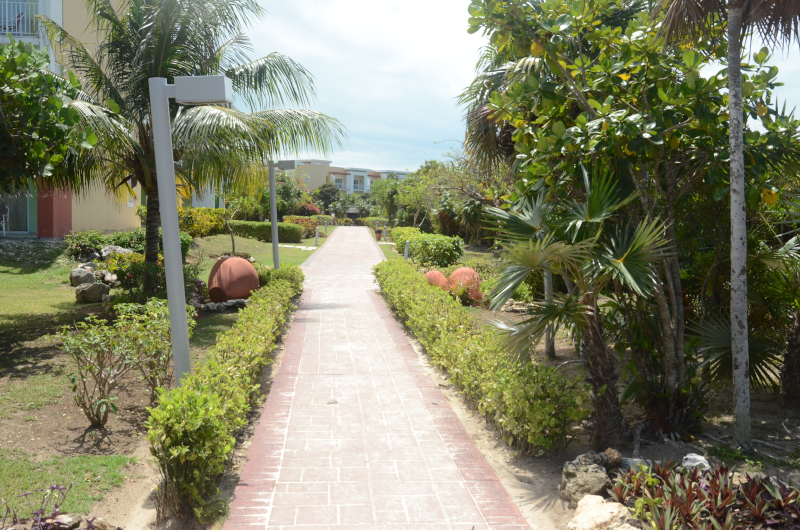 fitcuba 2022 art2 hotel nature 2