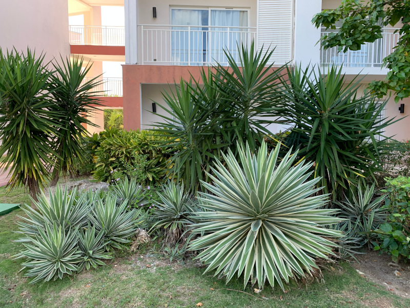 fitcuba 2022 art2 hotel nature 4