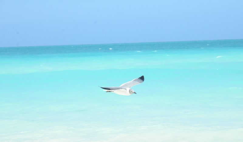 fitcuba 2022 art2 plage 4
