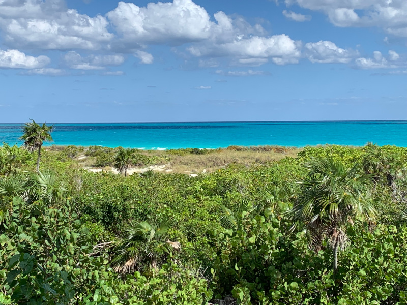 fitcuba 2022 art2 plage 7