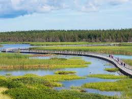 ile prince edward bridge