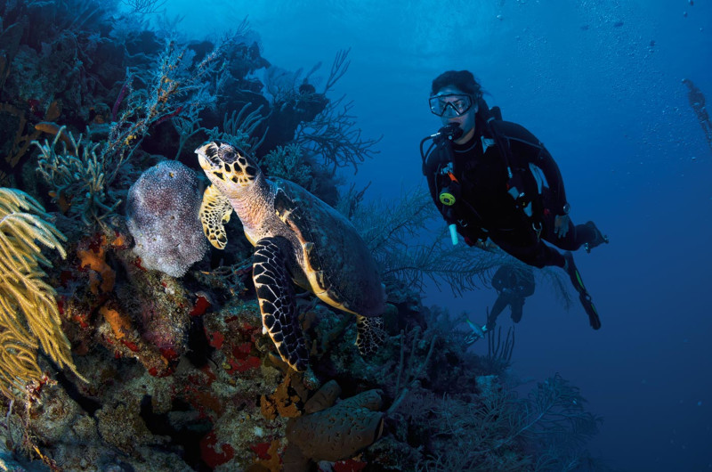 salon tourisme 2018 buceo turcos caicos