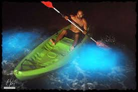 vieques bioluminescent bay 2