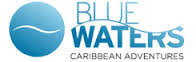 vieques blue logo 2
